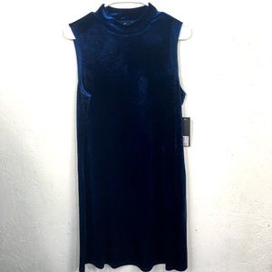 Gnu Blue Velvet Dress